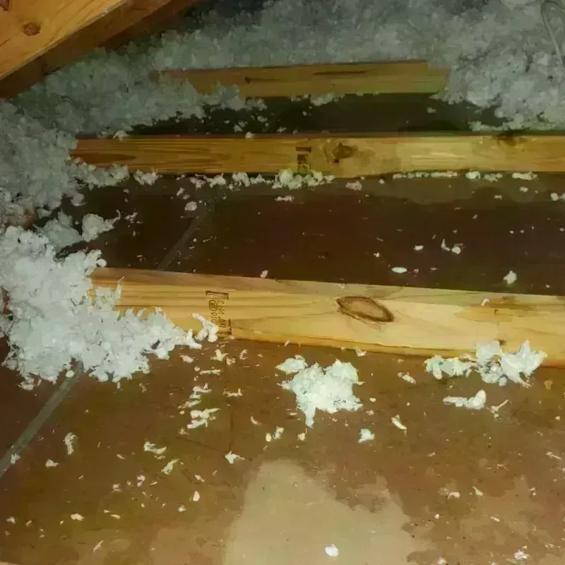 Attic Water Damage in Livonia, LA