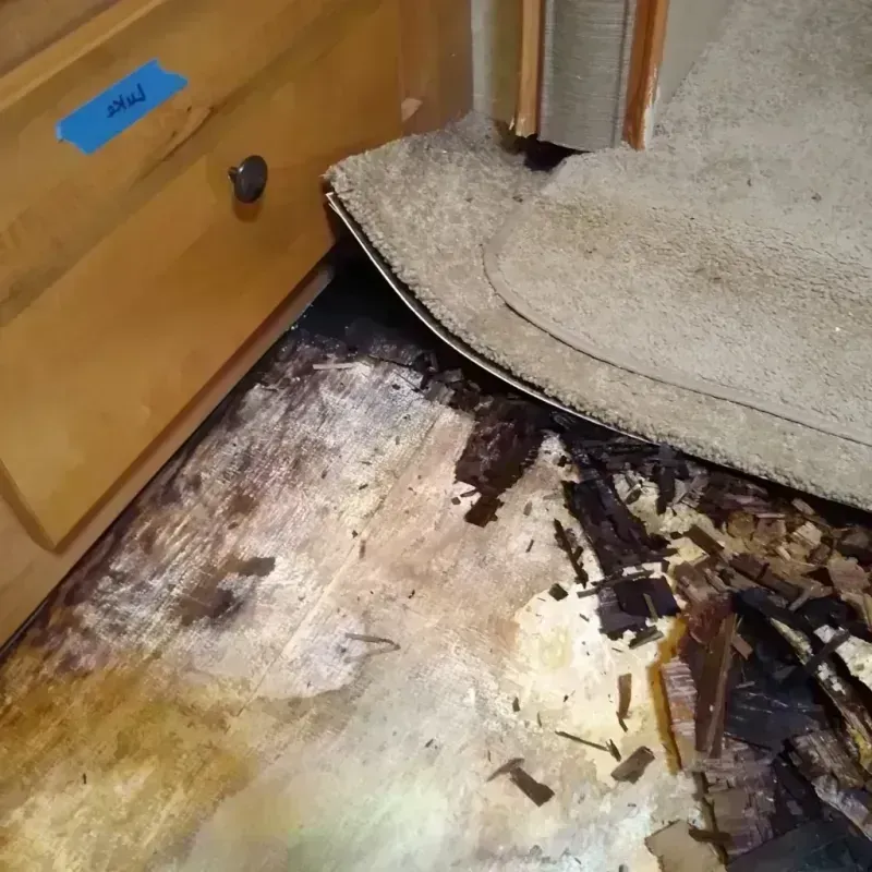 Wood Floor Water Damage in Livonia, LA